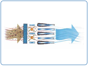 Electrostatic process simulation