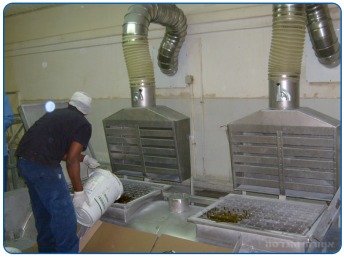 Slot-type suction hood for barrel unloading